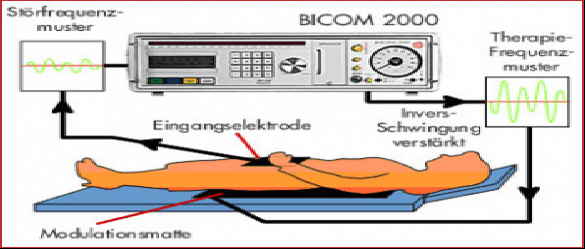 Bicom_Bioresonanz Bild 1